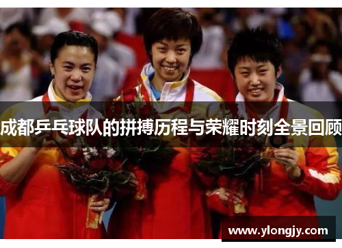 成都乒乓球队的拼搏历程与荣耀时刻全景回顾